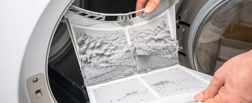 Best Dryer Lint Removal Company in Sunnyside, Washington