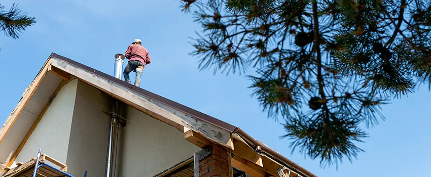 Birds Removal Contractors from Chimney in Sunnyside, WA